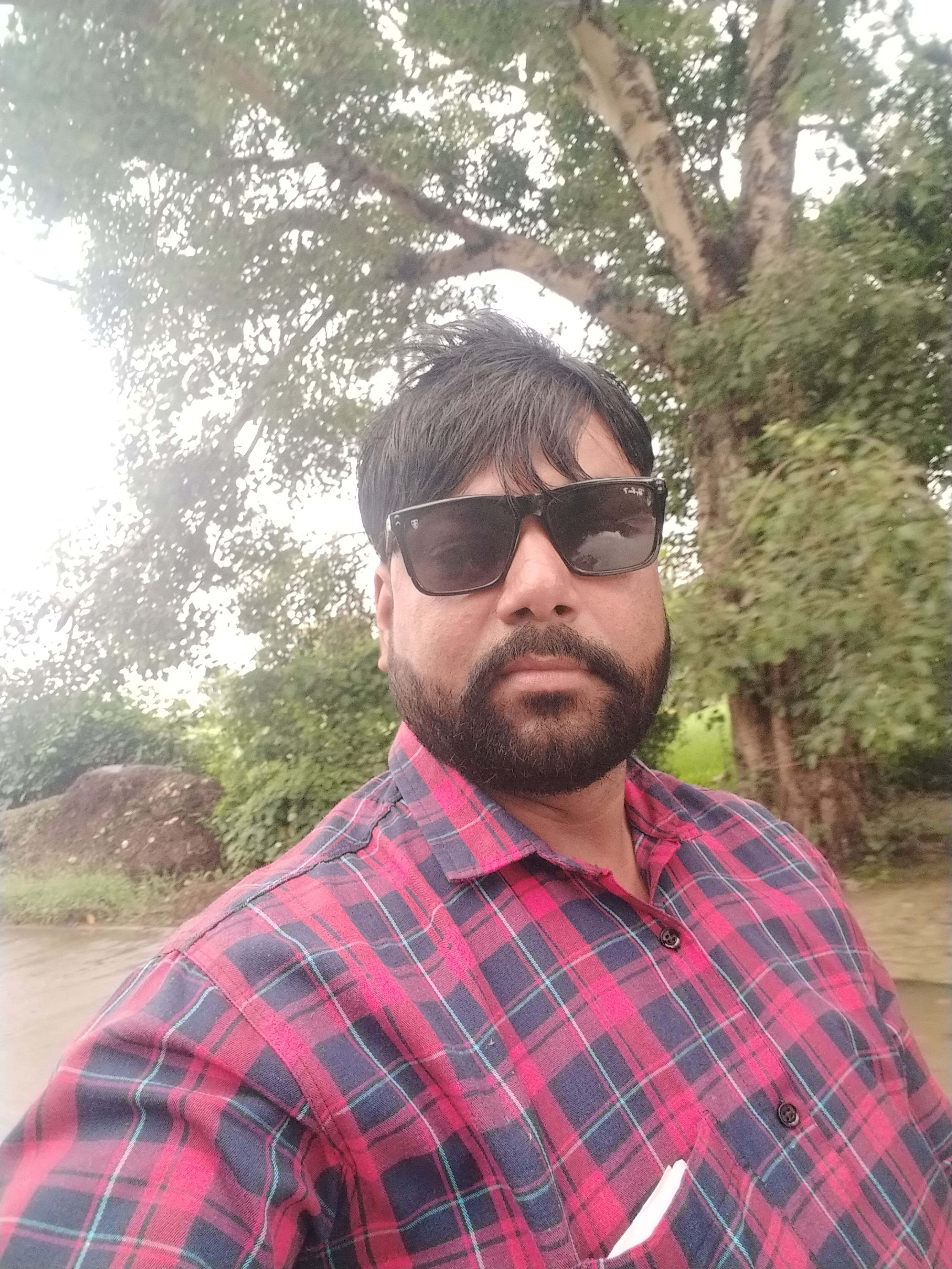 Hanuman Sharan